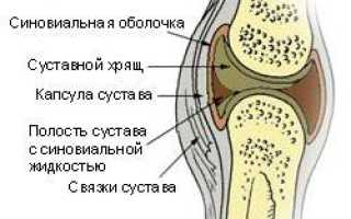 Лекарство для хрящей и суставов