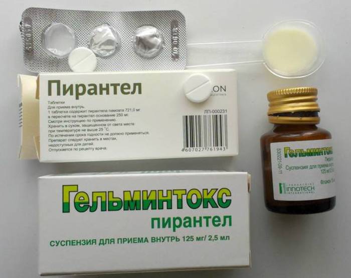 Гельминтокс: инструкция по применению от паразитов