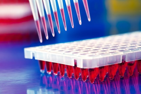 Диагностика паразитов в организме: анализы и исследования