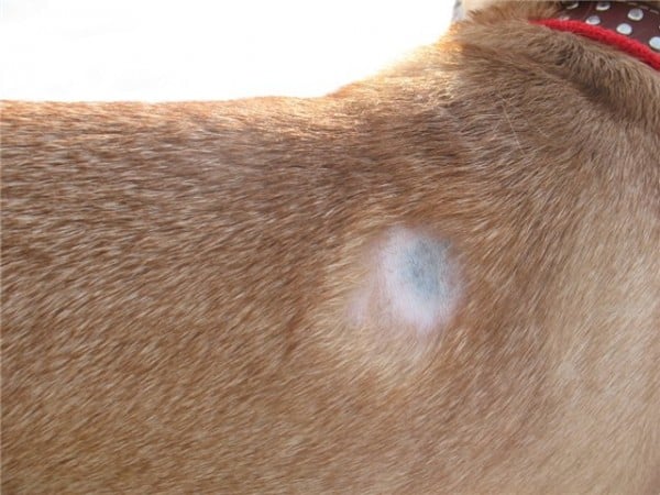 Очаговая форма