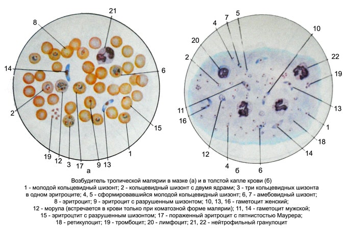 Исследование