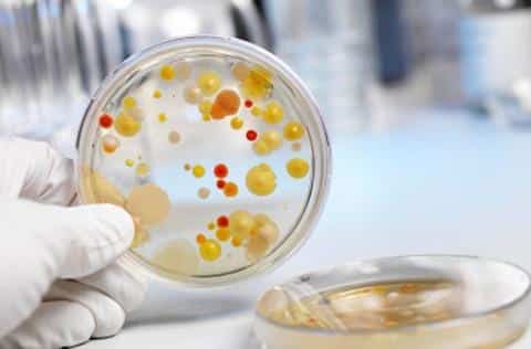 Анализ на трихомониаз: правильные процедуры