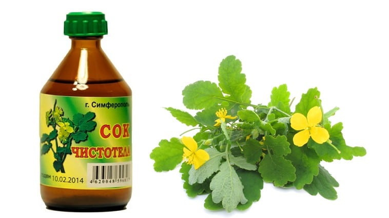 Чистотел от паразитов у человека: особенности применения
