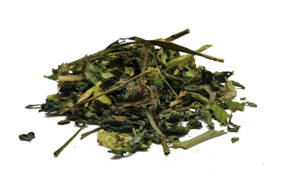 Чистотел от паразитов у человека: особенности применения