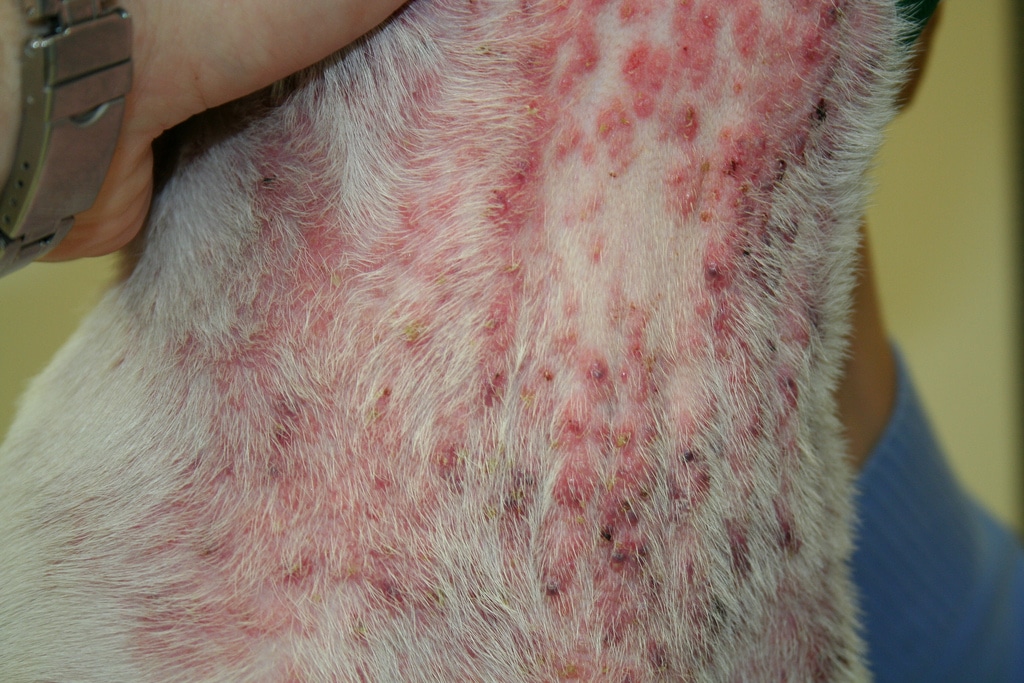 Генерализованная форма