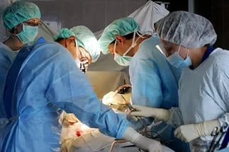 Что такое эхинококкоз