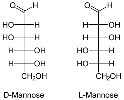 Настойка из лисичек от паразитов: рецепт и способы применения