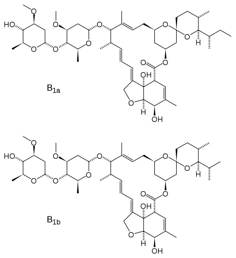 Как применять Ивермектин: инструкция по применению