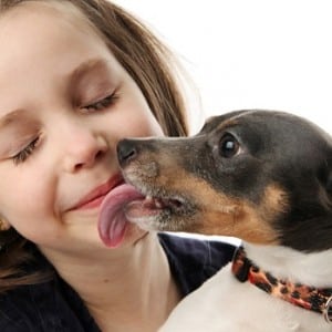 glisty-u-domashnih-zhivotnyh