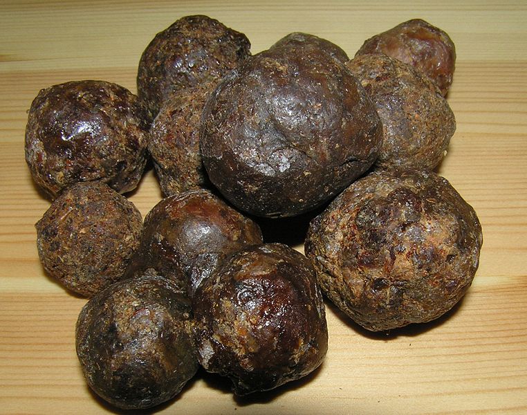 Прополис против глистов: как использовать средство