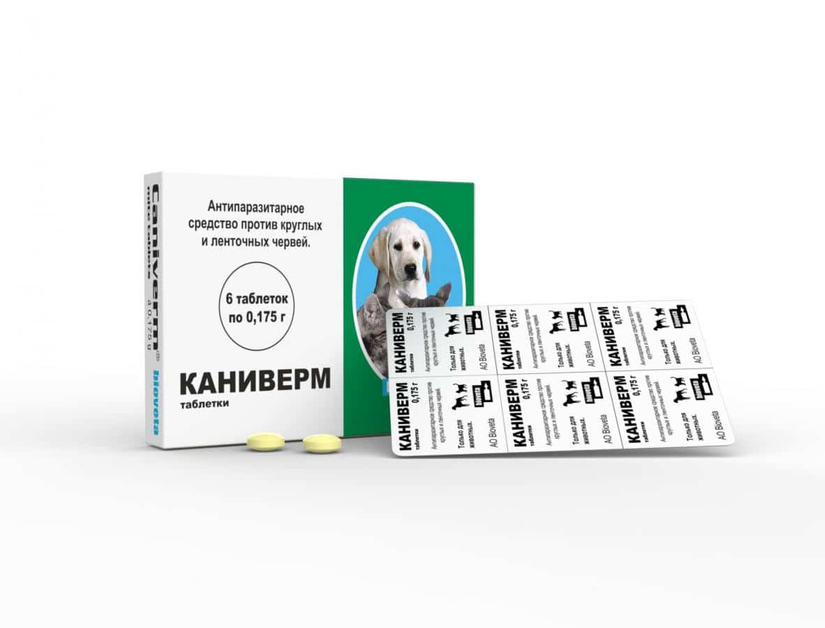 Caniverm: инструкция по применению от глистов у животных
