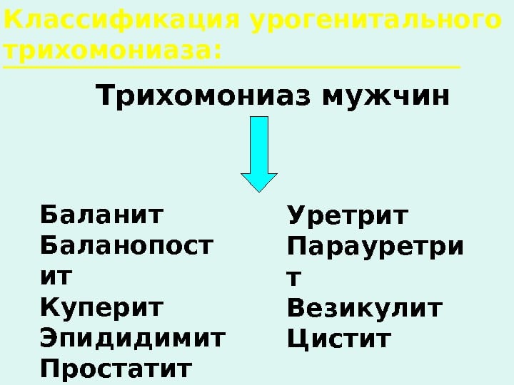 Трихомонады у мужчин: симптомы и лечение, диагностика и особенности протекания