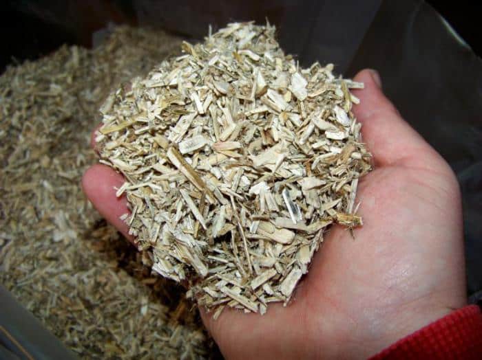 Заготовка коры