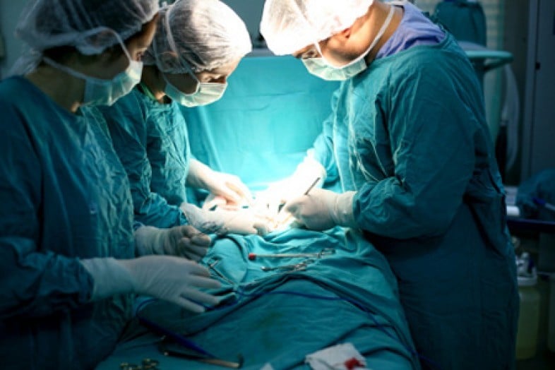 Как лечить эхинококкоз легких у человека