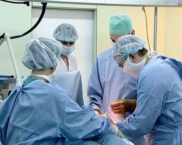 Эхинококкоз печени у человека и его лечение