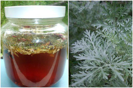 lechenie-toksoplazmoza