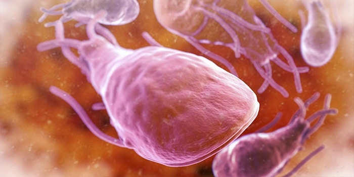 mozhno-li-poseshhat-detskij-sad-pri-lyamblioze