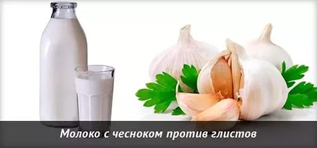 Молоко с чесноком против глистов