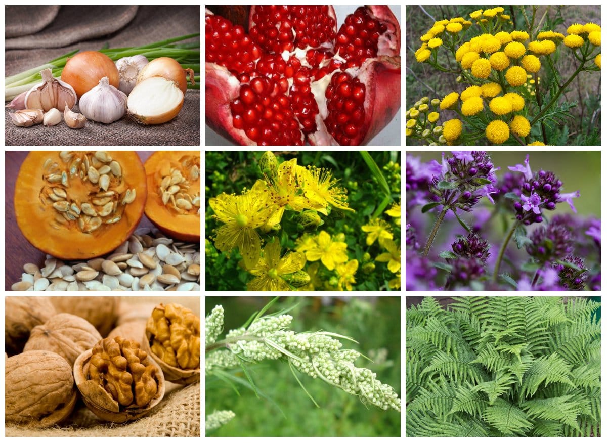 Лечение травами