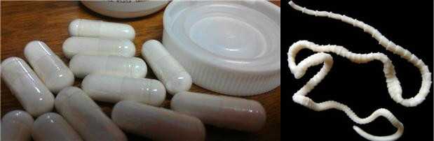 opasnost-tabletok-s-glistami