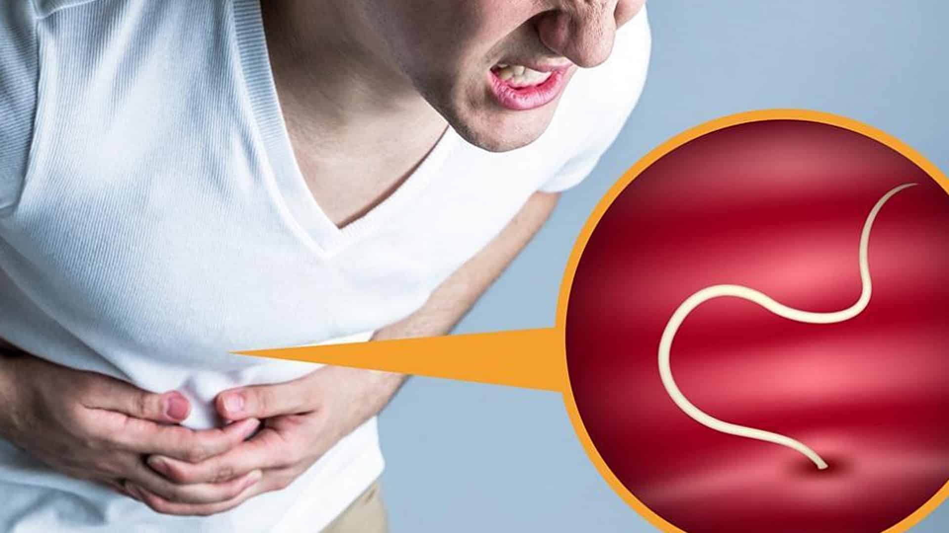 Паразиты в печени человека: симптомы и лечение