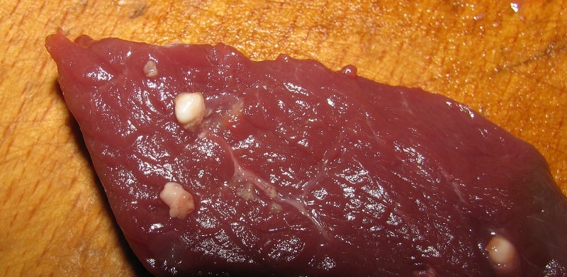 Виды паразитов в мясе животных