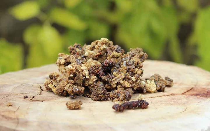 Прополис против глистов: как использовать средство