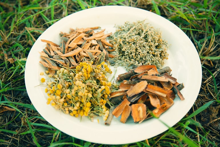 Какие используются травы от глистов и паразитов?