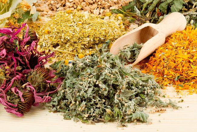 Эффективен ли монастырский чай от паразитов