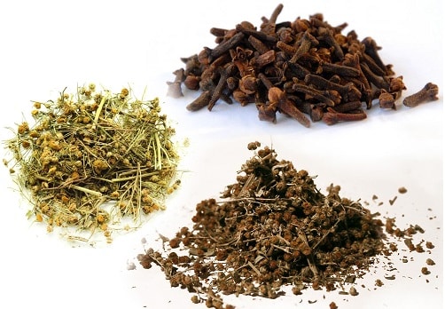 Русская тройчатка от паразитов