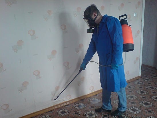 unichtozhenie-klopov