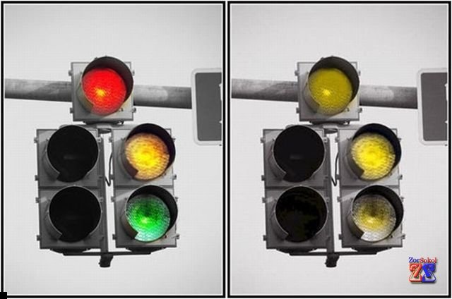 Видение светофора дальтониками Видение светофора дальтониками