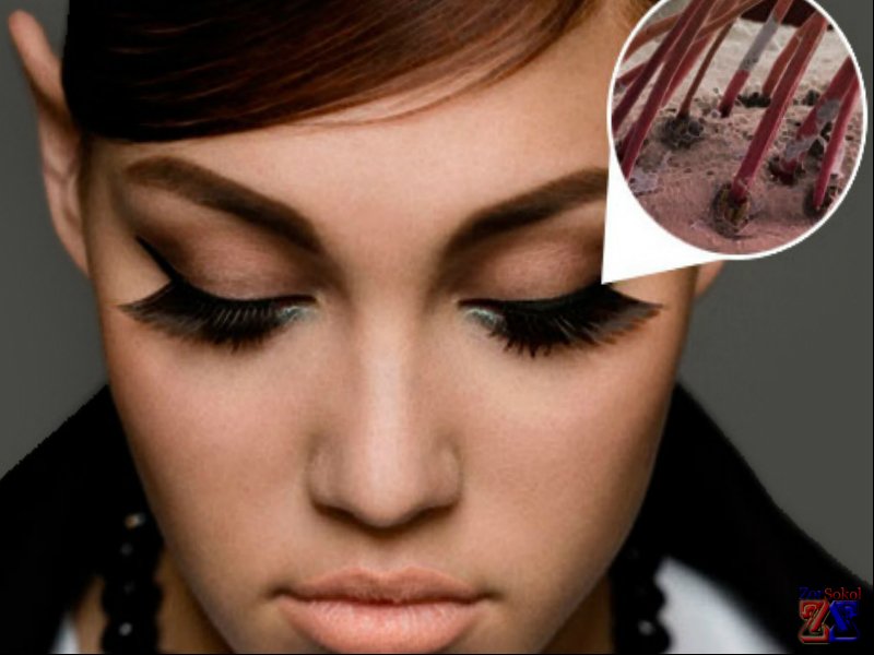 Для анализа берется соскоб пораженной кожи Для анализа берется соскоб пораженной кожи