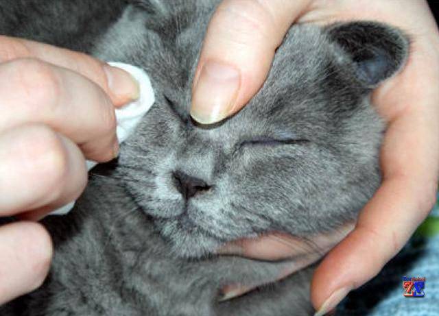 Следуйте назначениям врача Следуйте назначениям врача