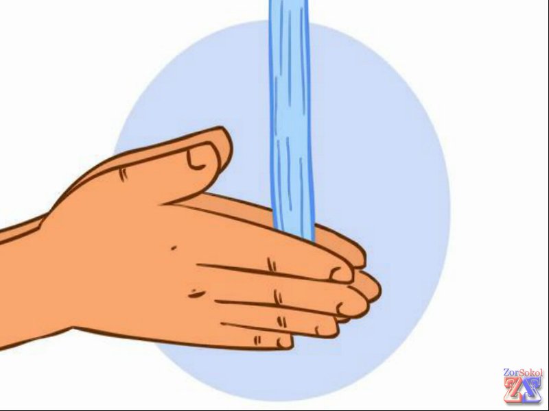 Главное - соблюдение гигиены Главное - соблюдение гигиены