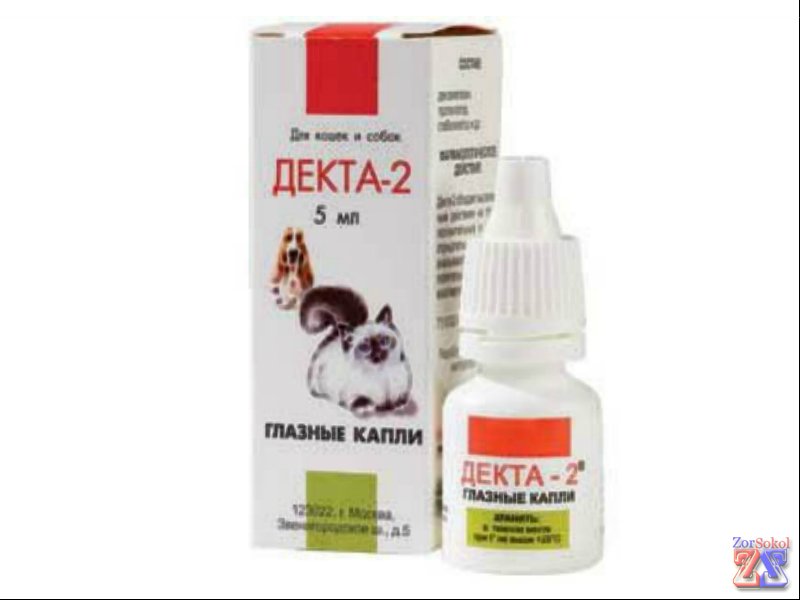 Лечить животных должен ветеринар-офтальмолог Лечить животных должен ветеринар-офтальмолог