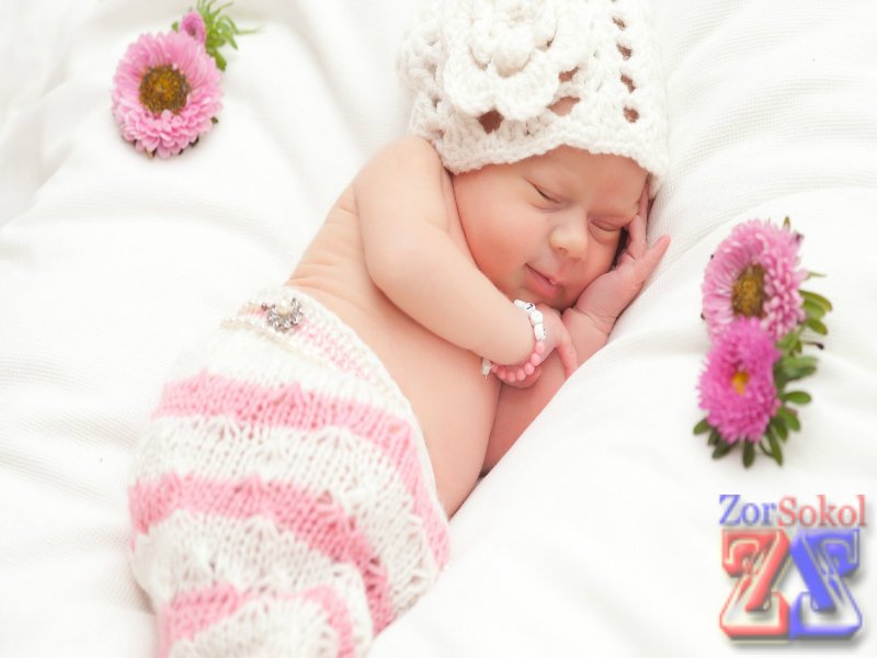 Крепкий сон Крепкий сон