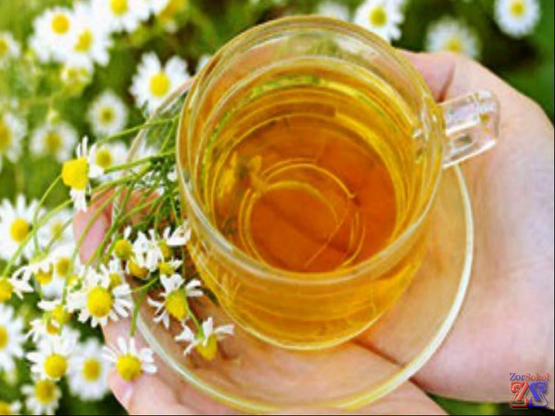 Ромашка - отличное противовоспалительное средство Ромашка - отличное противовоспалительное средство