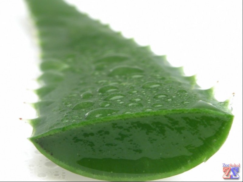 Сок алоэ Сок алоэ