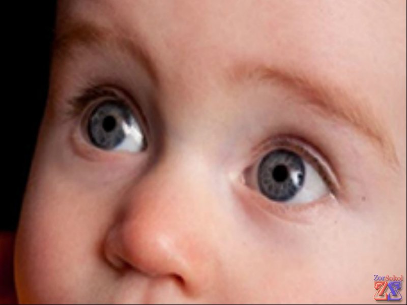 Лечение малышей Левомицетином следует проводить с осторожностью Лечение малышей Левомицетином следует проводить с осторожностью