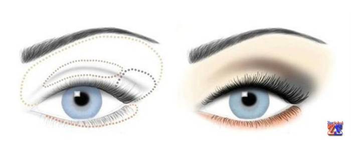 Схема нанесения палитры теней Схема нанесения палитры теней