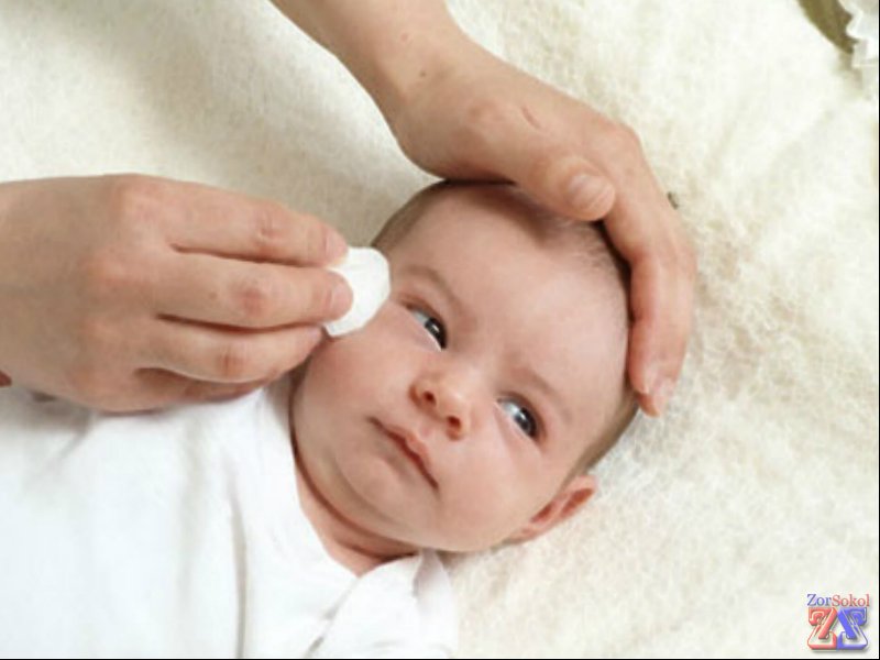 Влажным ватным тампоном убираем выделения Влажным ватным тампоном убираем выделения