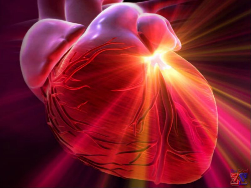 Главные виновники отеков - сердечно-сосудистые заболевания Главные виновники отеков - сердечно-сосудистые заболевания