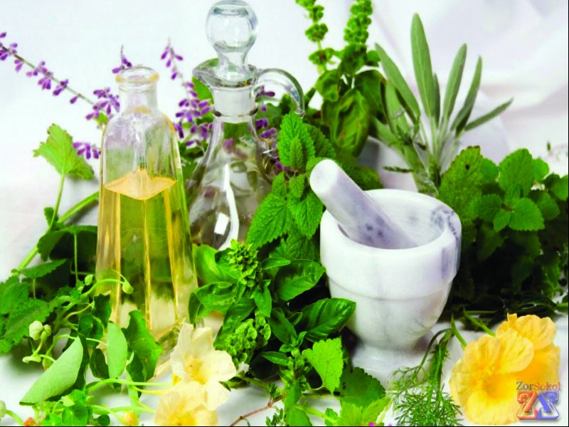 Народные средства следует применять с осторожностью Народные средства следует применять с осторожностью