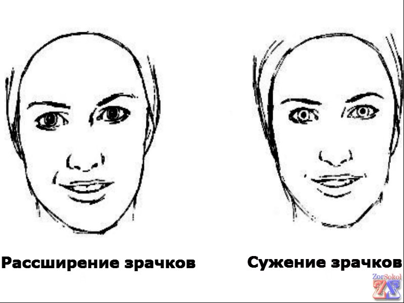 Управление зрачками Управление зрачками