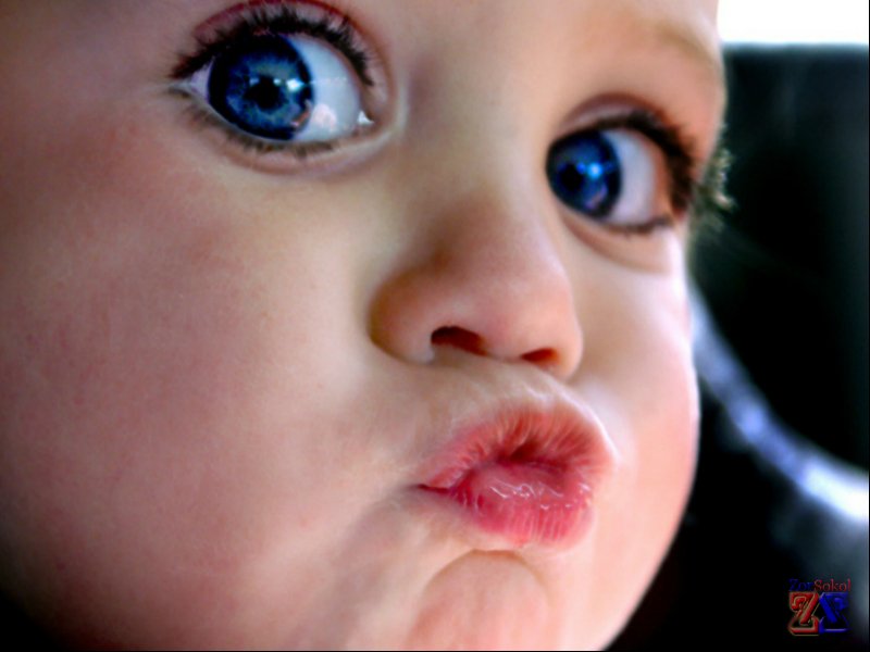 Детские глазки кажутся больше чем у взрослых Детские глазки кажутся больше чем у взрослых