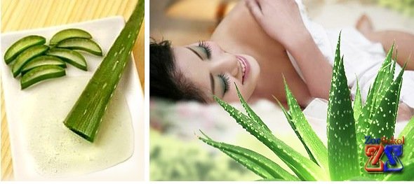 Алое для сияющей кожи вокруг глаз Алое для сияющей кожи вокруг глаз