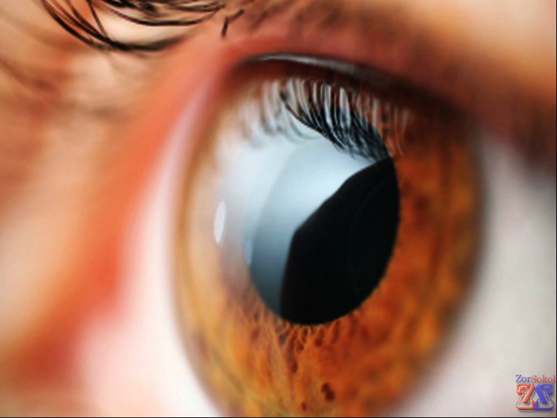 Силикон-гидрогель - быстрая адаптация и комфортное ношение Силикон-гидрогель - быстрая адаптация и комфортное ношение