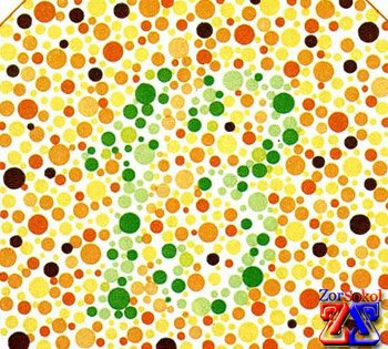 Напишите в комментариях, что вы видите Напишите в комментариях, что вы видите