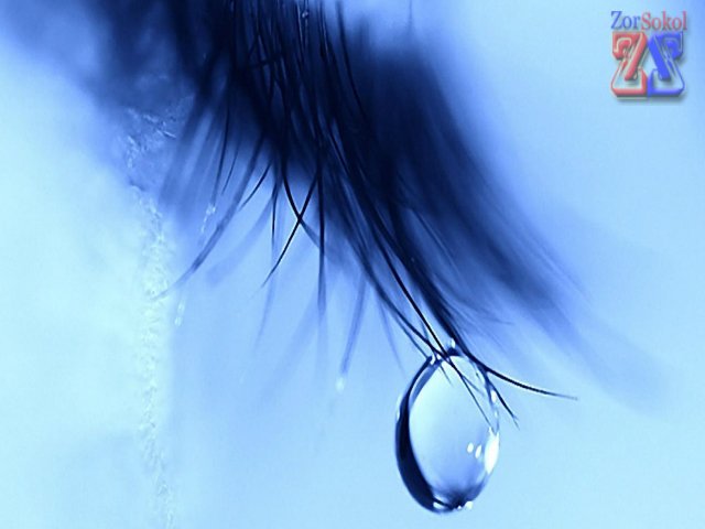 Слеза человека Слеза человека